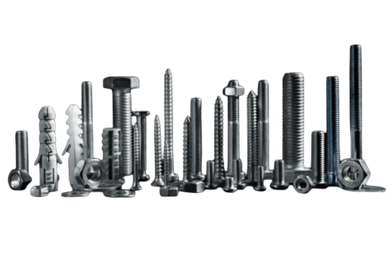 SS Fasteners